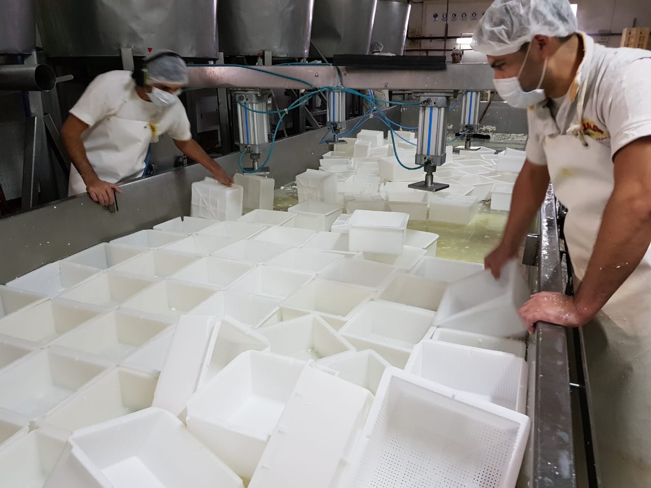 Catarsis Apymel: dicen que sobra leche y que el precio debe bajar